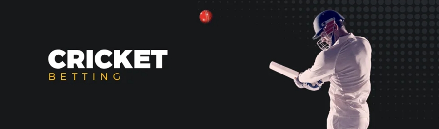 Live cricket betting